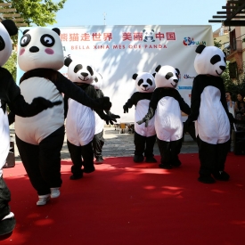 Flashmob panda