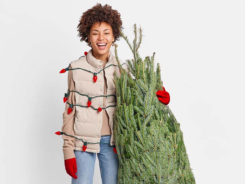 Un total de 227 puntos de recogida de árboles de Navidad en toda la ciudad